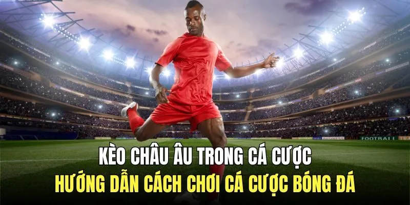 Hướng Dẫn Cách Chơi Kèo Châu Âu Trong Cá Cược Bóng Đá